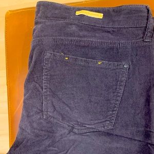 Pilcro stretch grey cords. Never worn